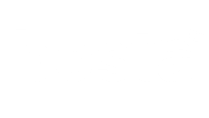 Bosta Logo